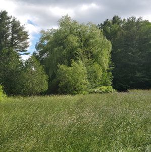 Meet your Posher, Leonard